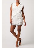 Nova Pleated Ruffle Mini Dress