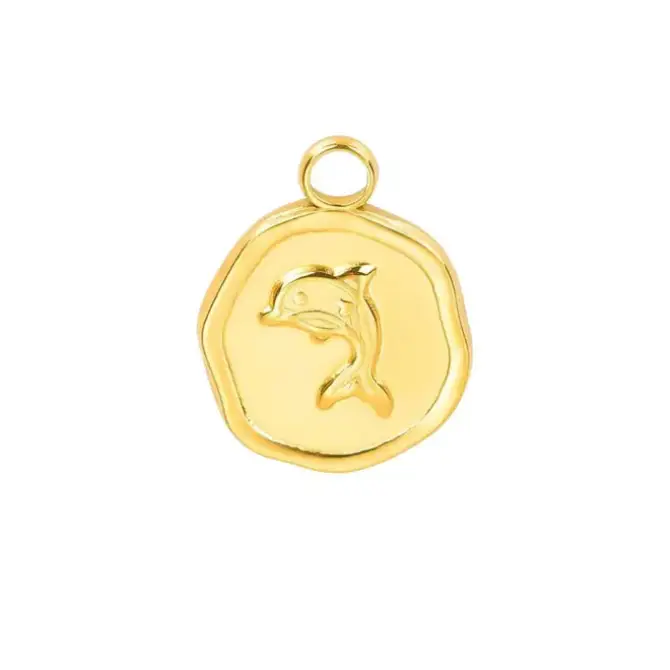 Dolphin Coin Charm