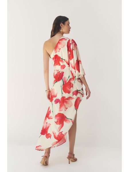 HUTCH Adina Ivory and Red Floral Maxi Dress