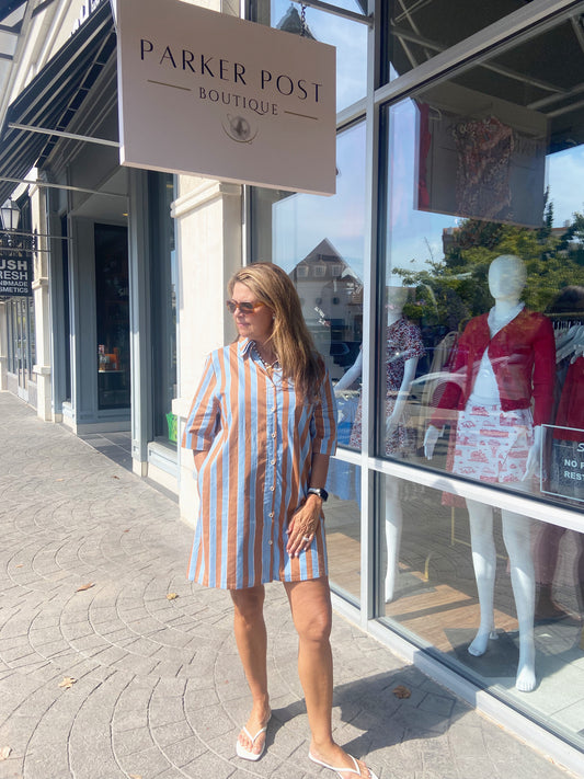 The Graduate Brown with Blue Stripe Shirt Dress