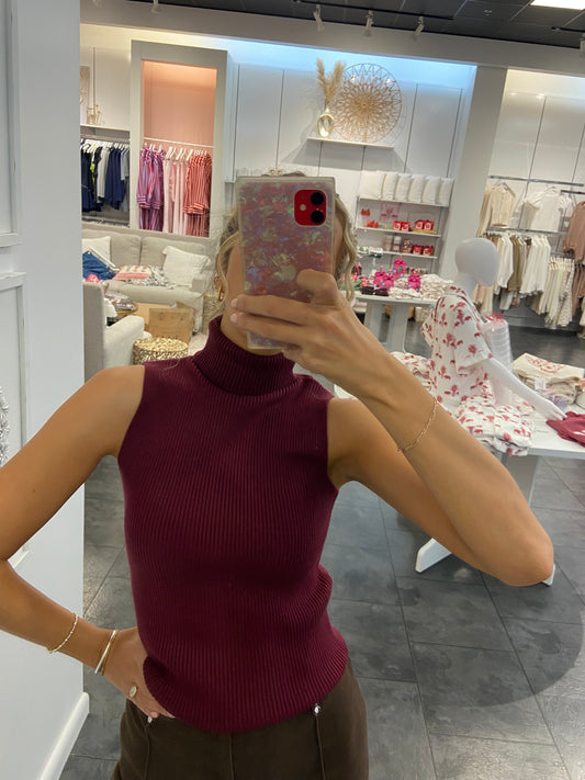 ASTRID Wine Turtleneck Sweater