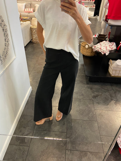 LYSSE Erin Hi Waist Wide Leg Denim BLack