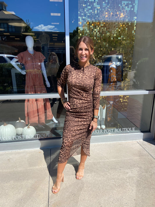 Easy Tiger Animal Print Sheer Sleeve Dress