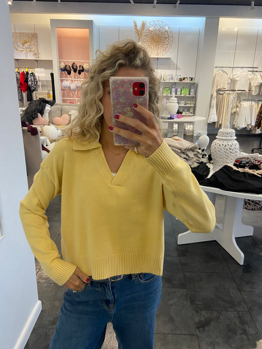 Lemon V-Neck Long Sleeve Sweater