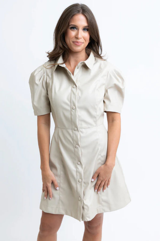 Karlie Tan Pleather Puff Sleeve Dress