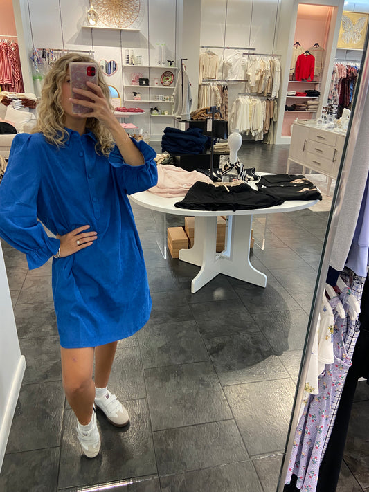 Regal Placket Collar Dress