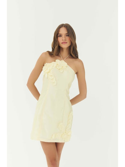 HUTCH Buttercream Delanie Mini Dress