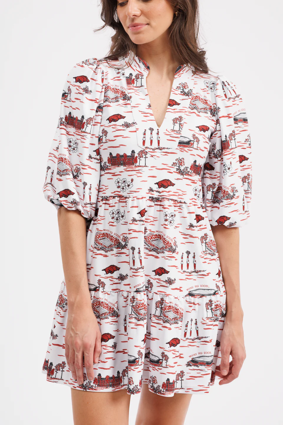Smith & Quinn Tory Arkansas Toile Dress